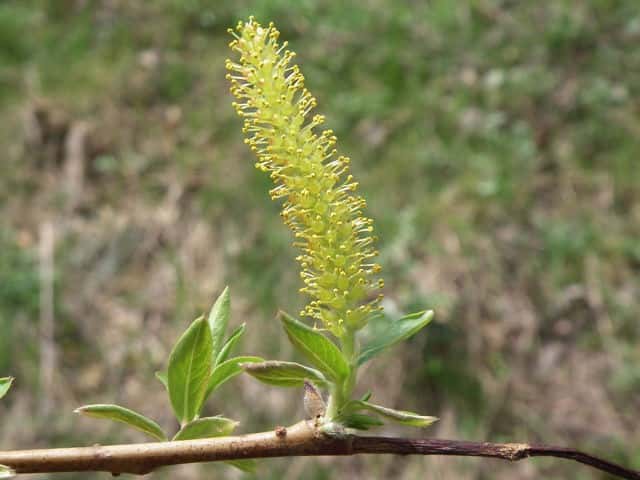 �^�`���i�M