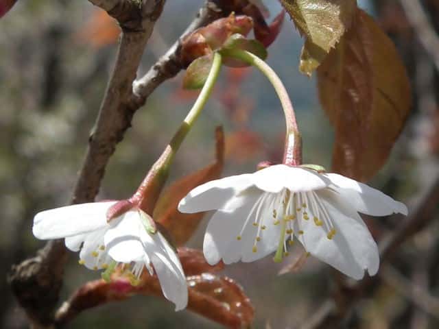 �T�N����