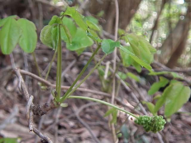 �~�c�o�A�P�r