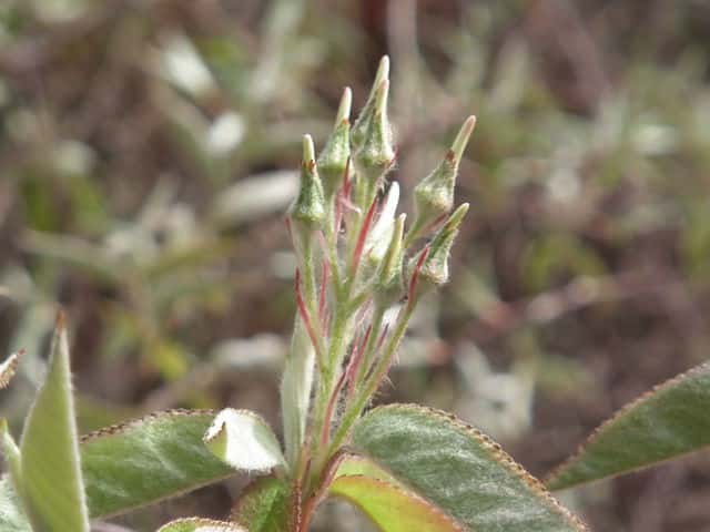 �U�C�t���{�N