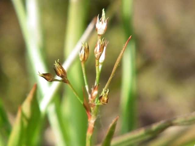 �k�J�{�V�\�E