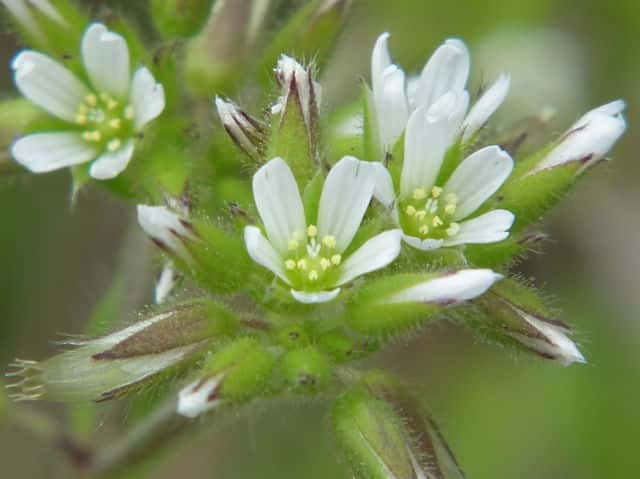 �I�����_�~�~�i�O�T