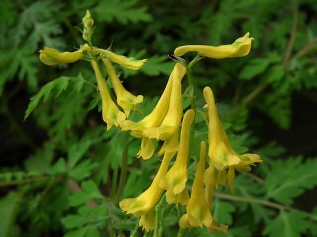 �~���}�L�P�}��