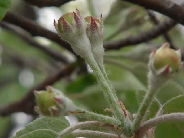 �I�I�E���W���m�L