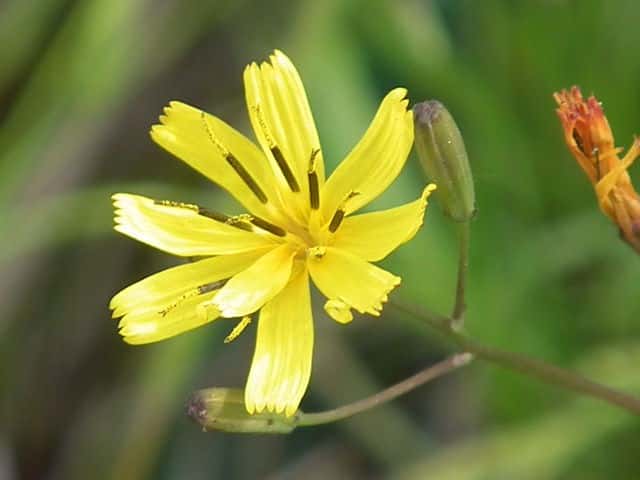 �n�i�j�K�i