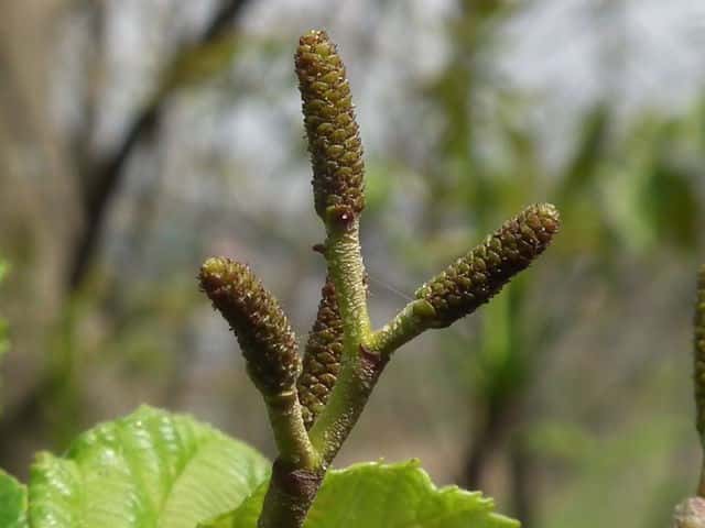 �P���}�n���m�L