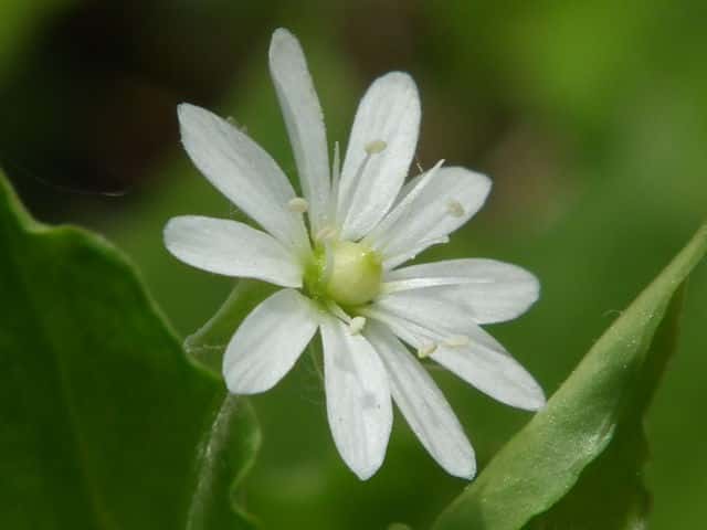 �~���}�n�R�x