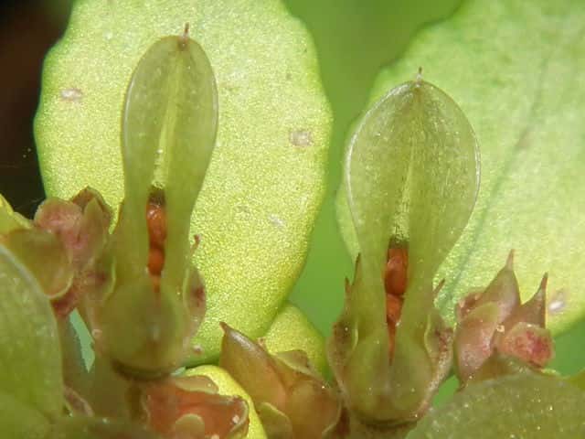 �{�^���l�R�m���\�E