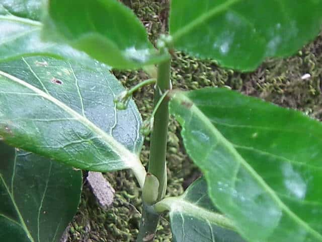 �����T�L�}���~