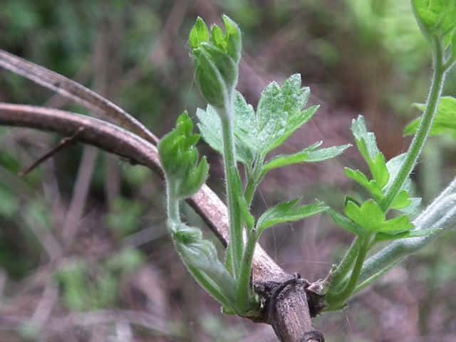 �{�^���d��