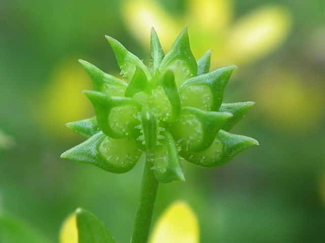 �g�Q�~�m�L�c�l�m�{�^��