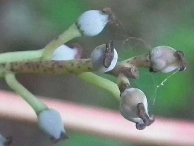 ���Y���n