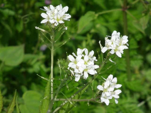 �R�������\�E