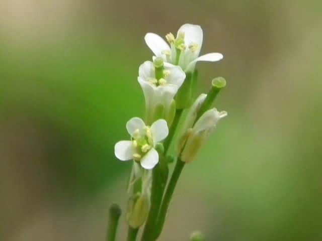 ���}�n�^�U�I