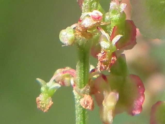 �����M��