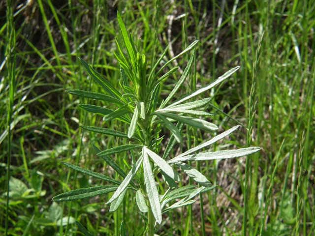 �����M��