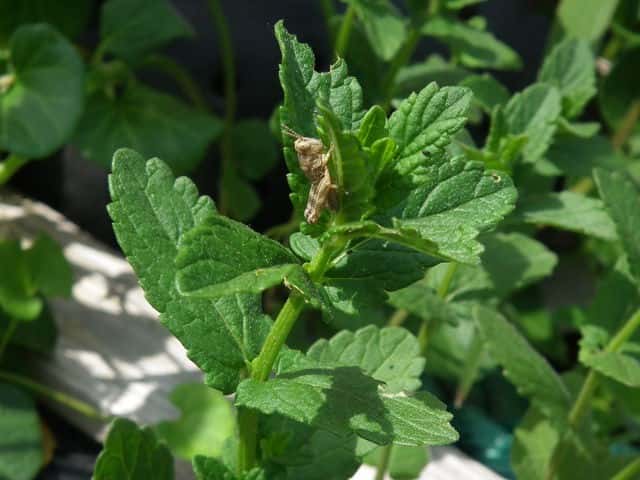 �i�~�L�\�E