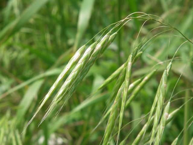 �X�Y���m�`���q�L