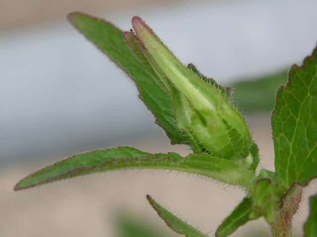 �z�^���u�N��