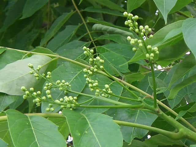 �j���E���V