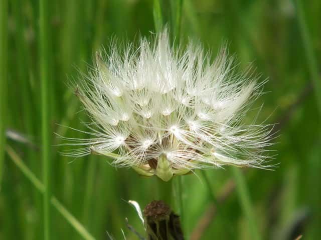 �I�I�W�V�o��