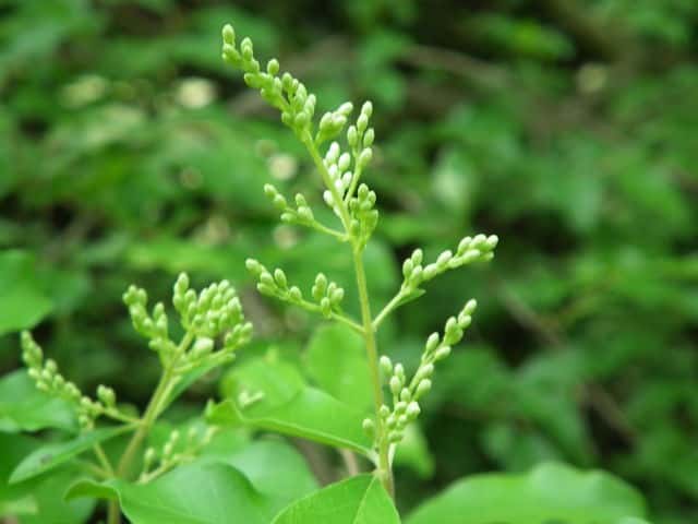 �R�~�m�l�Y�~���`