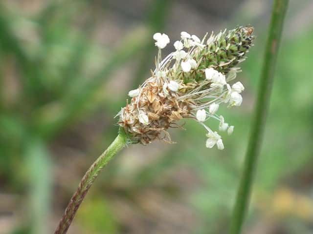 �w���I�I�o�R