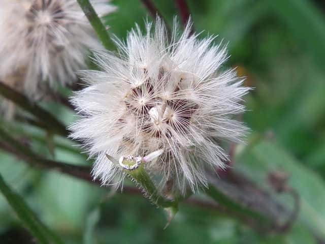 �R�E�]���i