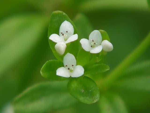 �z�\�o�m���c�o���O��