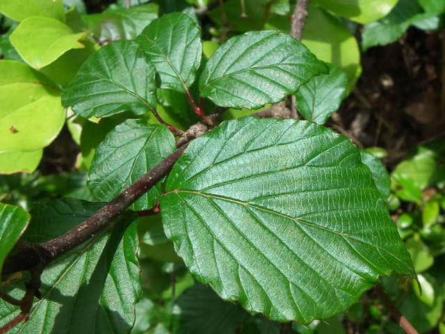 �~���}�K�}�Y�~