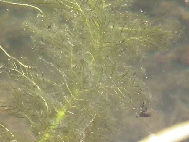 �I�O���m�t�T��