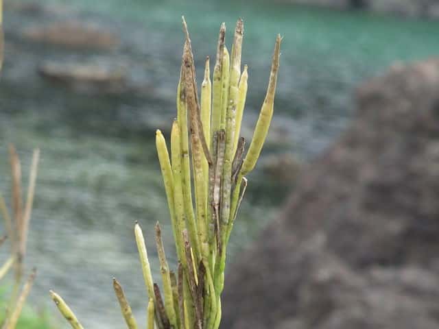 �n�}�n�^�U�I