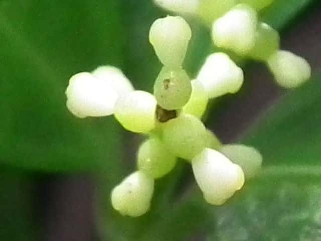 �Z�������E