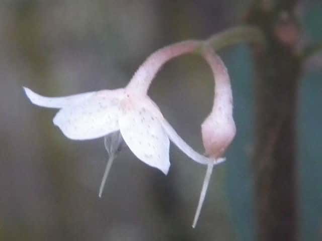 ���u�R�E�W