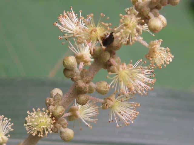 �A�J���K�V��