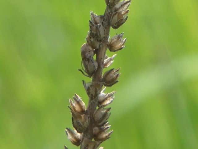 �c�{�~�I�I�o�R