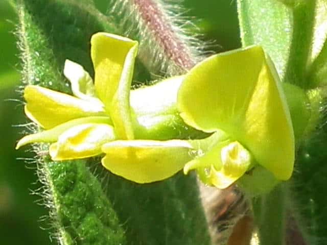 �^���L���}��