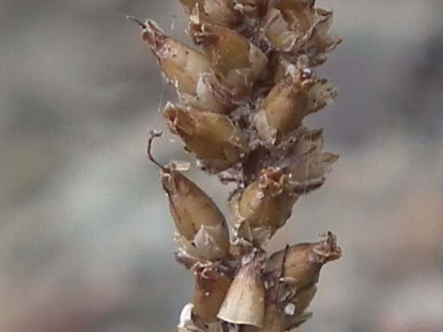 �G�]�I�I�o�R