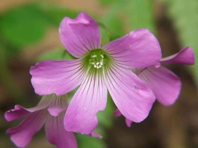 �����T�L�J�^�o�~