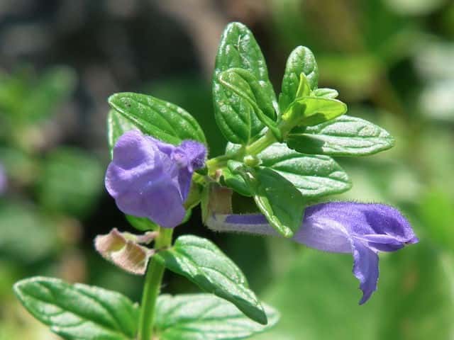 �i�~�L�\�E