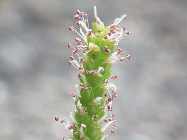 �g�E�I�I�o�R