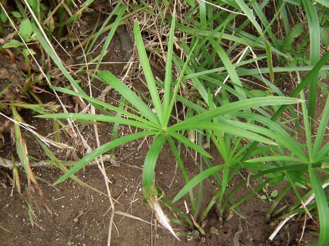 �V�����K���c��