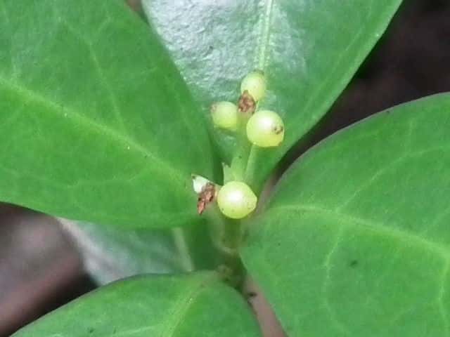 �Z�������E