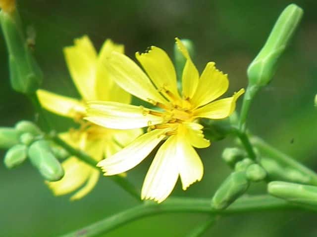 ���}�j�K�i