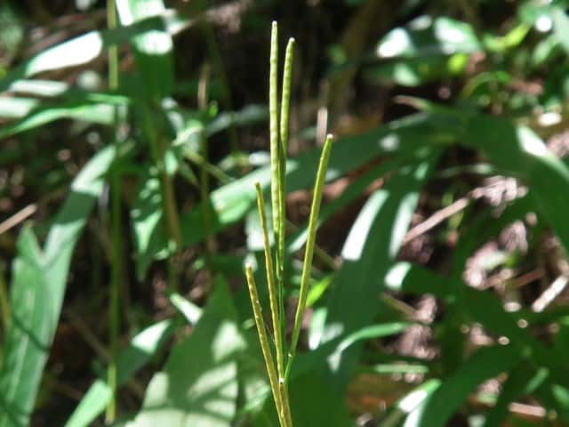 ���}�n�^�U�I