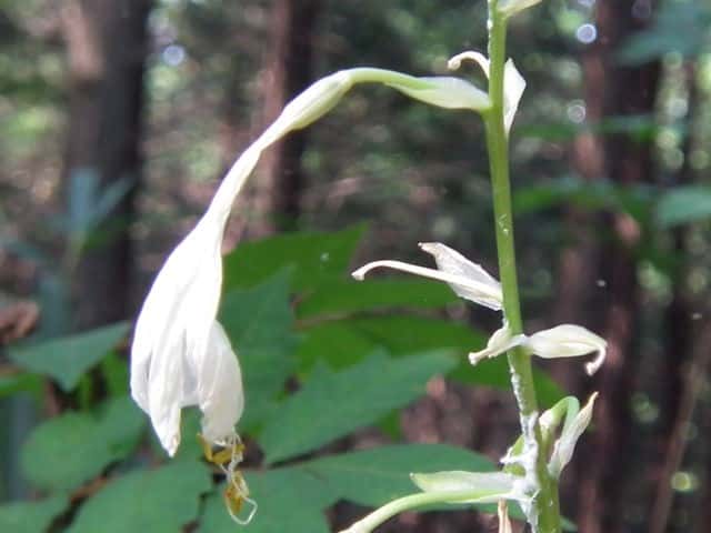 �g�E�M�{�E�V