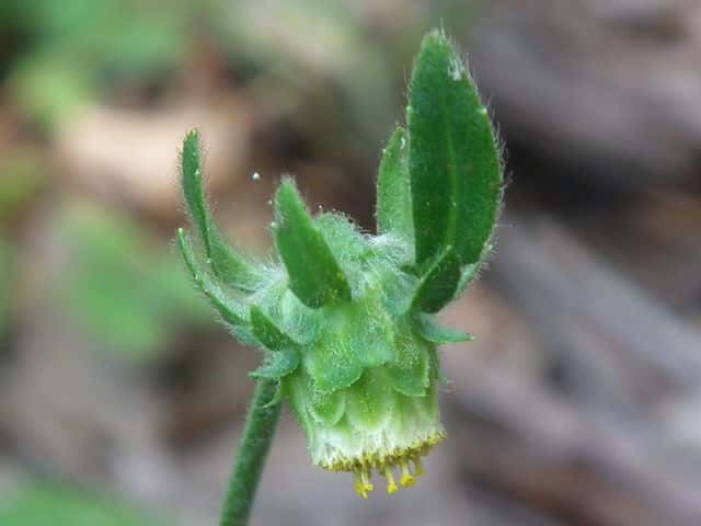 �T�W�K���N�r�\�E