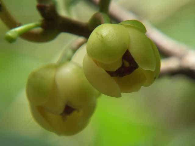 �T�l�J�Y��