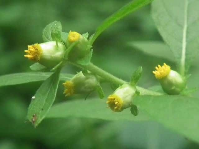 ���u�^�o�R