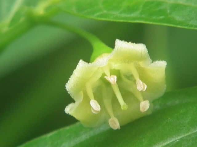 �n�_�J�z�I�Y�L